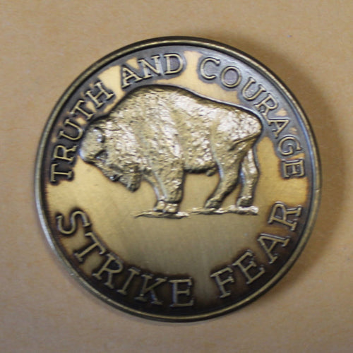 17th Infantry Regiment 1st Battalion Alaska 1990 Army Challenge Coin