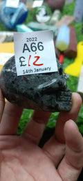 A66-2022.1.5-yooplite skull
