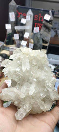 B08