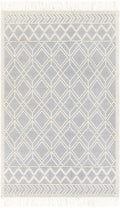 Beige and Gray Hand Woven Tasseled Texture Wool and Cotton Blended Rug - The Rug Decor