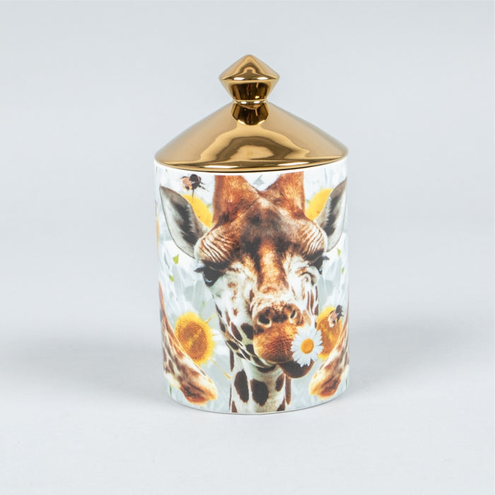 CANDLE YOU'RE HAVING A GIRAFFE 320 GRAMS (428038510)