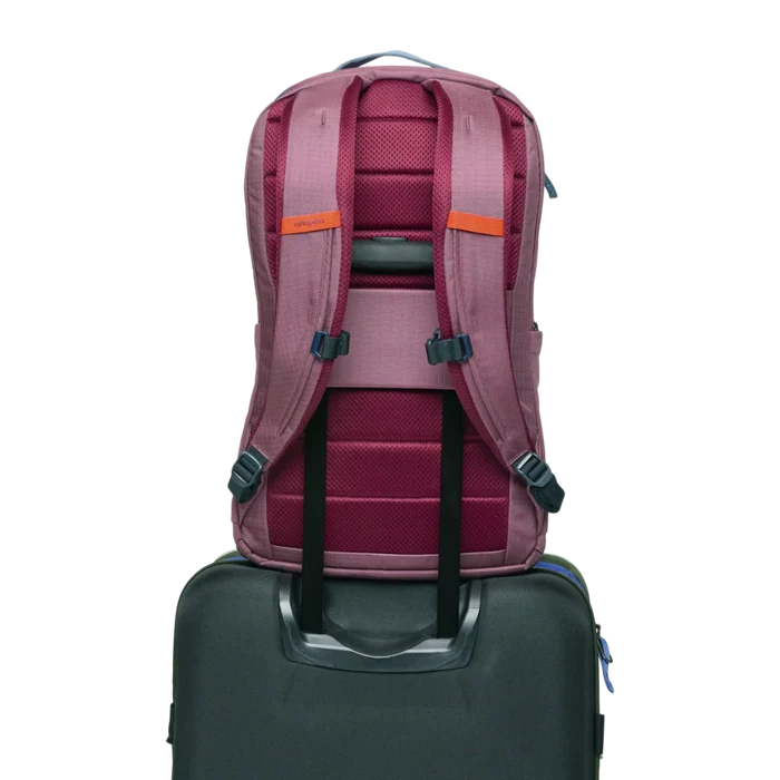 Cotopaxi Allpa 26L Daypack - Hill and Dale Outdoors