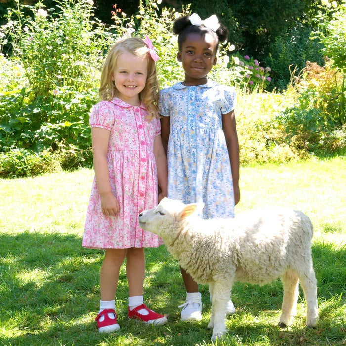 Rachel Riley Daisy Button Front Dress Pink 2Y