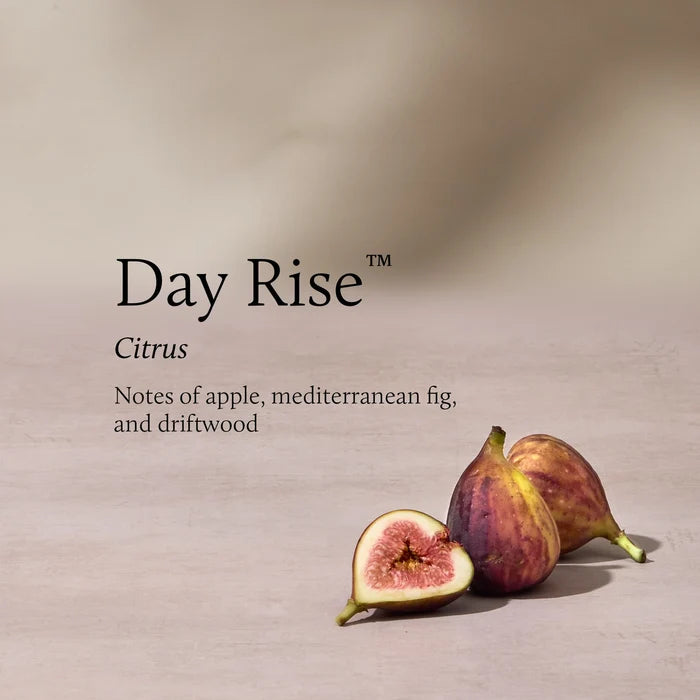 Thymes Day Rise Petite Diffuser