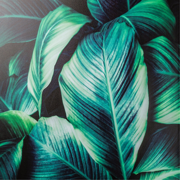 HK HOME CANVAS LEAVES 80X120 (337270082)