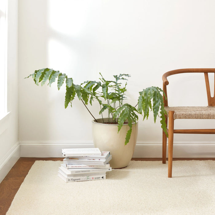 Holmstead Ivory Handwoven Wool Rug Rug By Annie Selke
