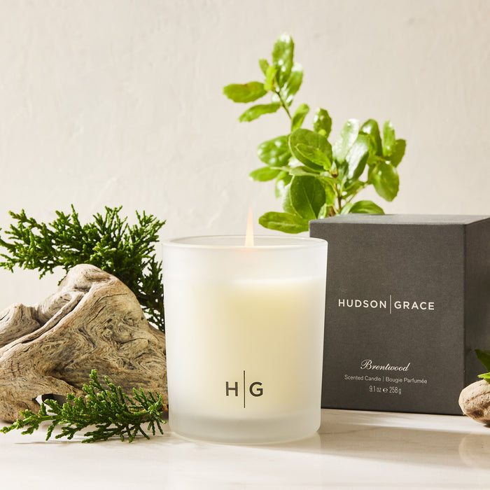 Hudson Grace Brentwood Scented Candle in a frosted glass jar with a dark gray box, driftwood, and greenery.