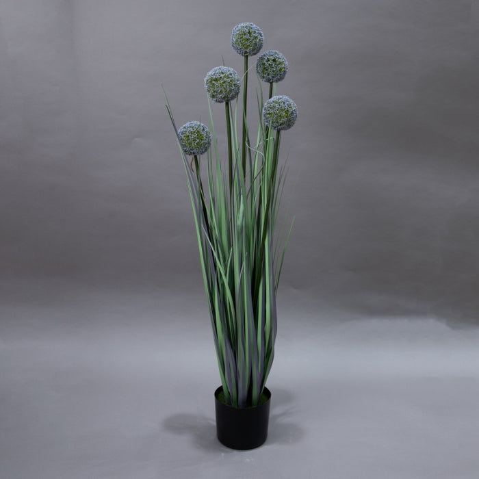 LONGJIN-110CM ALLIUM GRASS PURPLE (413252197)