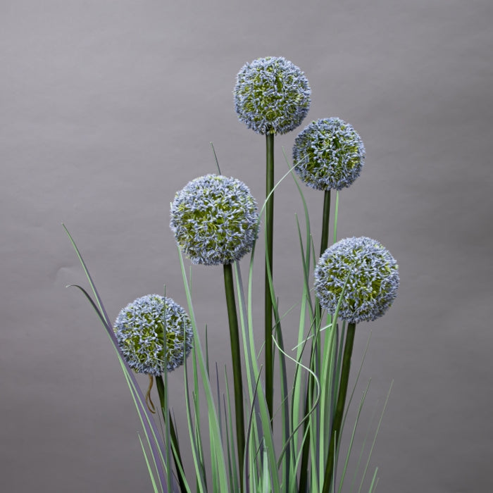 LONGJIN-110CM ALLIUM GRASS PURPLE (413252197)