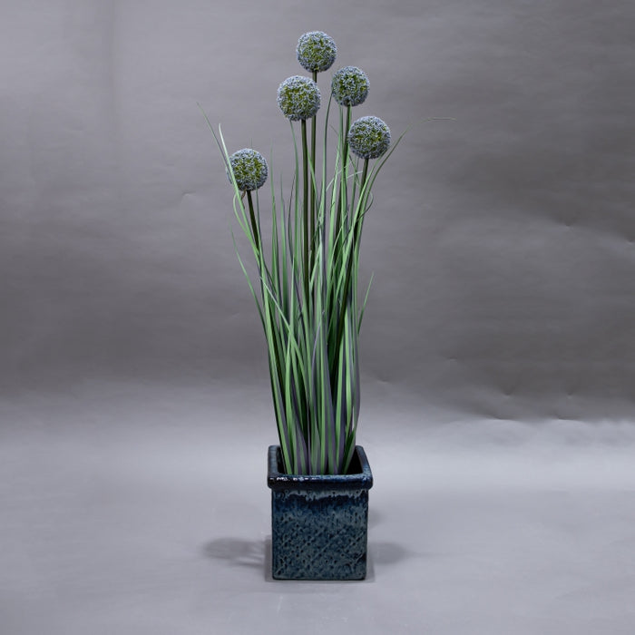 LONGJIN-110CM ALLIUM GRASS PURPLE (413252197)
