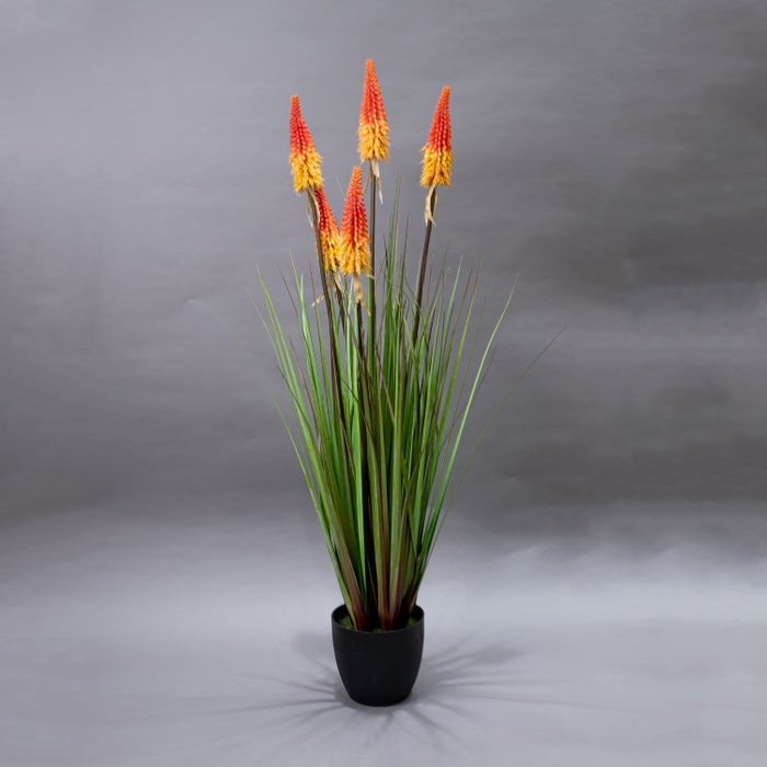 LONGJIN-120CM TORCH LILY GRASS ORG (413252210)