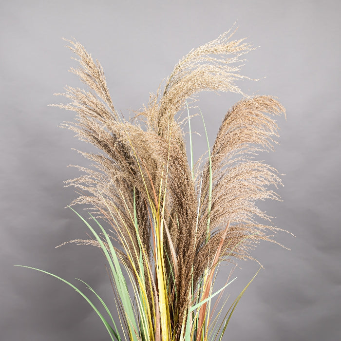 LONGJIN 60INCH DRIED PAMPAS GRASS WITH PLASTIC POT (413252063)