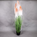 LONGJIN 72INCH PLUME GRASS WITH PLASTIC POT (413252058)