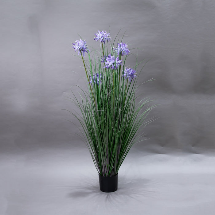 LONGJN-120CM PURPLE MAGIC LILY GRASS (413252186)