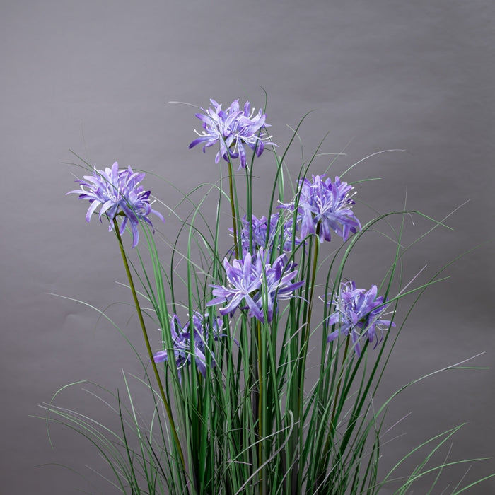 LONGJN-120CM PURPLE MAGIC LILY GRASS (413252186)