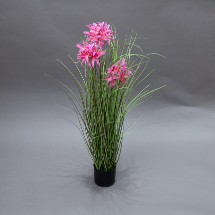 LONGJN-70CM PINK MAGI LILY GRASS (413252190)