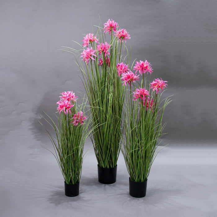 LONGJN-90CM PINK MAGIC LILY GRASS (413252191)
