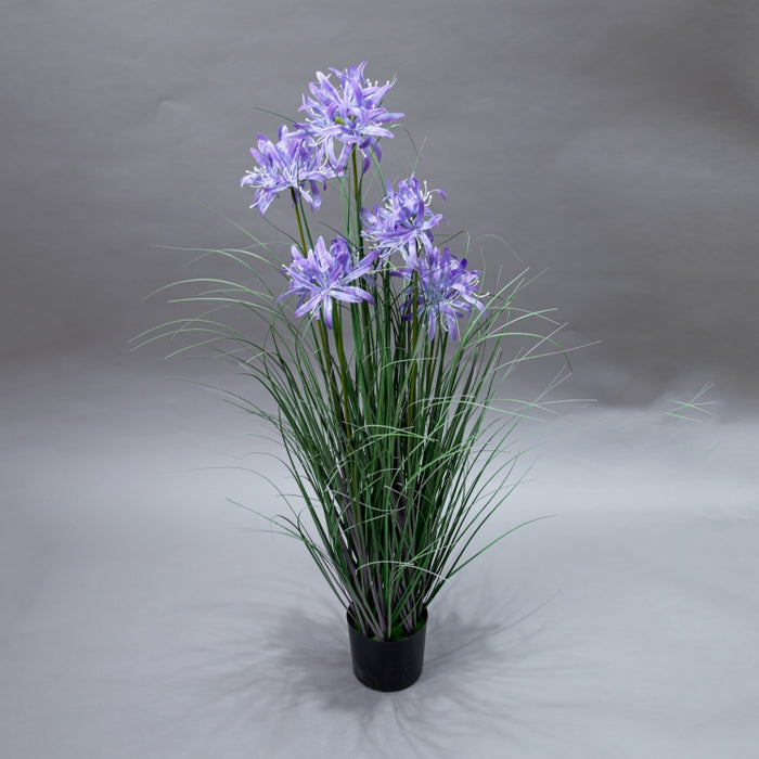 LONGJN-90CM PURPLE MAGC LILY GRASS (413252185)