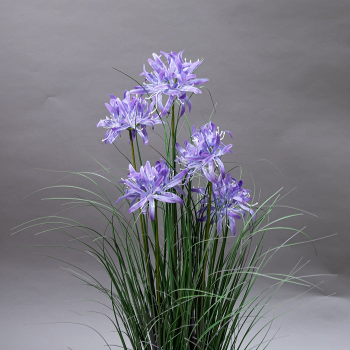 LONGJN-90CM PURPLE MAGC LILY GRASS (413252185)