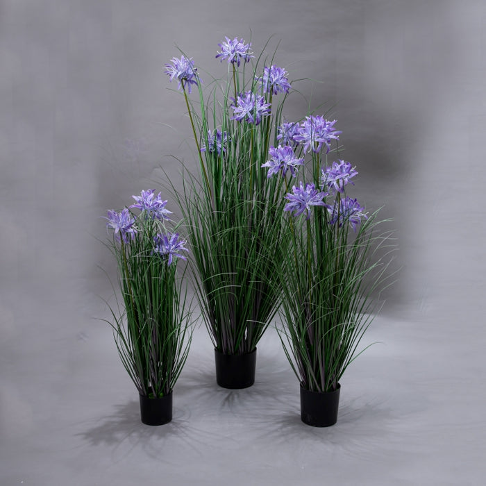 LONGJN-90CM PURPLE MAGC LILY GRASS (413252185)