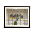 Maestro Birds