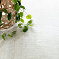 Nordic White Hand Loom Knotted Performance Rug Rug By Annie Selke
