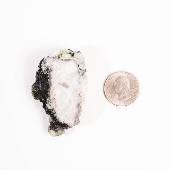 Prehnite w/ Black Quartz - Rough