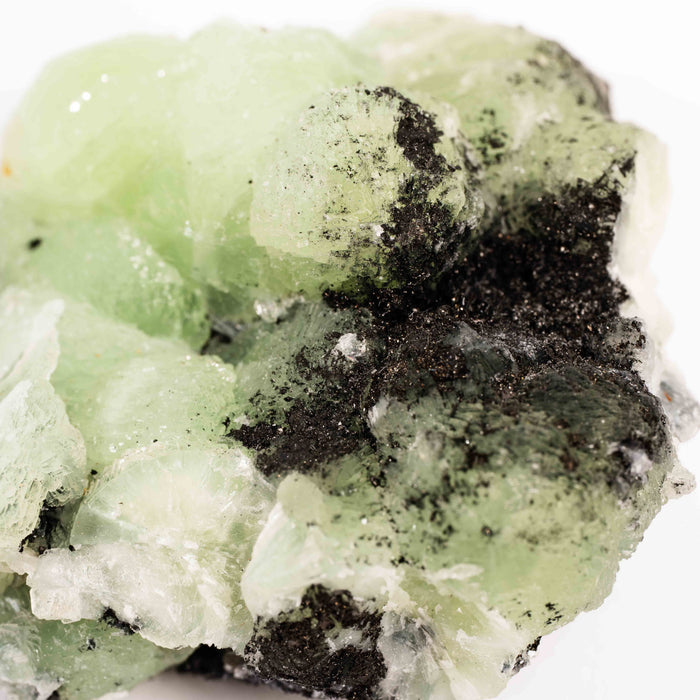 Prehnite w/ Black Quartz - Rough