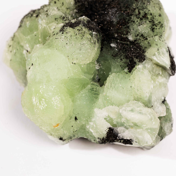 Prehnite w/ Black Quartz - Rough