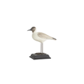 Seagull Decor - Madison's Niche