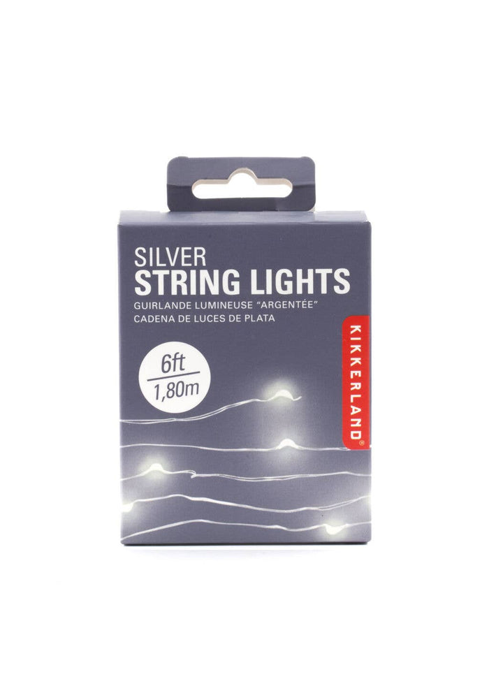 Silver Wire String Lights