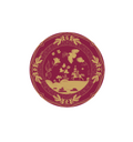 Tallahassee Chief Dessert Paper Plate - 50 pack