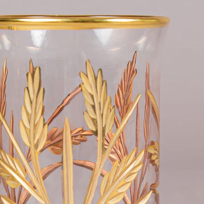 TF88 L/DRINK 6PCS DONZITI CLEAR/GOLD (202016186)